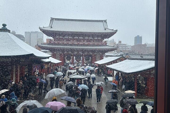 Tokyo Sightseeing/ City Tour by Private Car with English Guide — photo 7