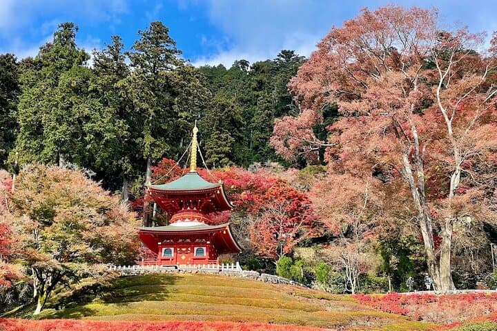 Osaka / Kyoto: Katsuoji, Arashiyama & Kinkaku-ji One Day Tour — photo 7