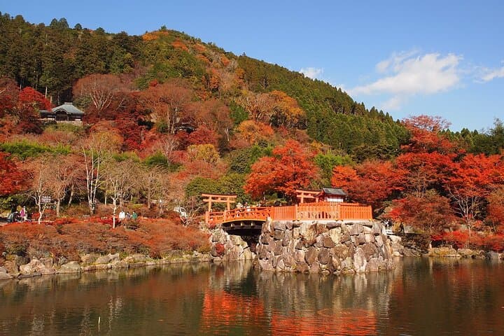 Osaka / Kyoto: Katsuoji, Arashiyama & Kinkaku-ji One Day Tour — photo 8