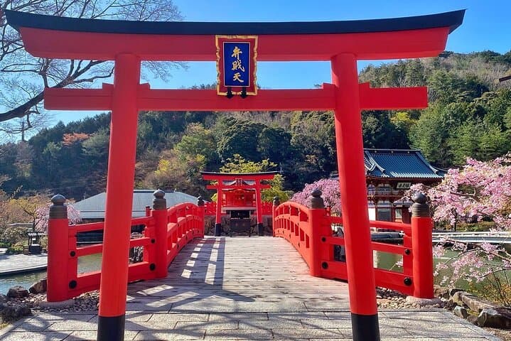 Osaka / Kyoto: Katsuoji, Arashiyama & Kinkaku-ji One Day Tour — photo 9