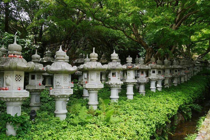 Osaka / Kyoto: Katsuoji, Arashiyama & Kinkaku-ji One Day Tour — photo 10