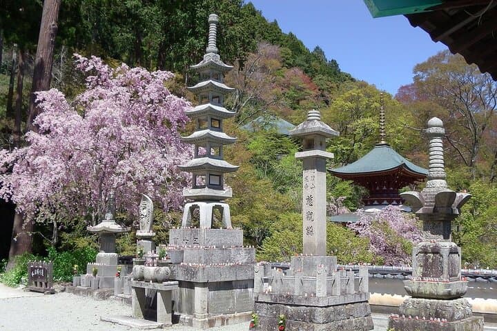 Osaka / Kyoto: Katsuoji, Arashiyama & Kinkaku-ji One Day Tour — photo 14