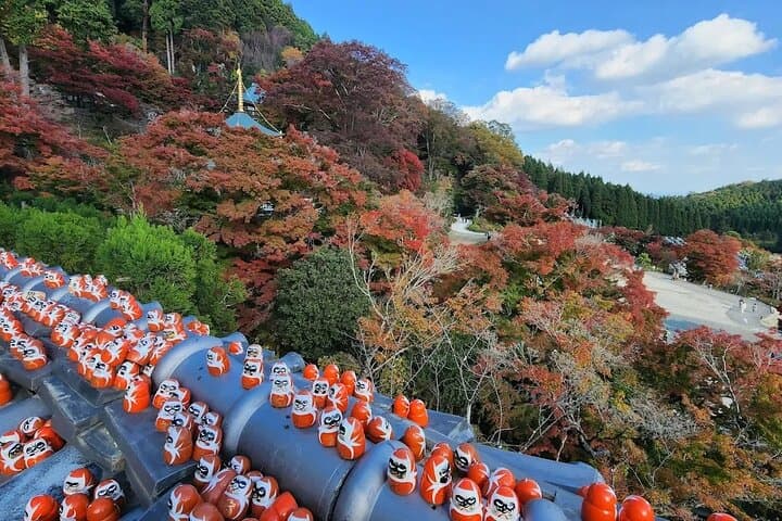 Osaka / Kyoto: Katsuoji, Arashiyama & Kinkaku-ji One Day Tour — photo 16