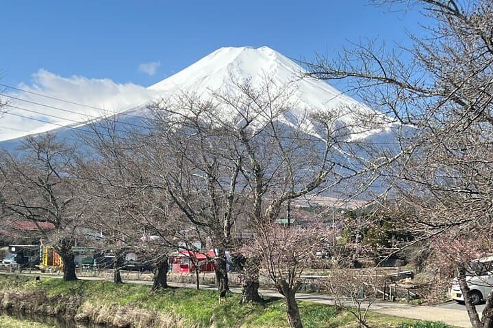 Mount Fuji Luxury Tour in Mercedes-Benz | Green Plate Car — photo 12