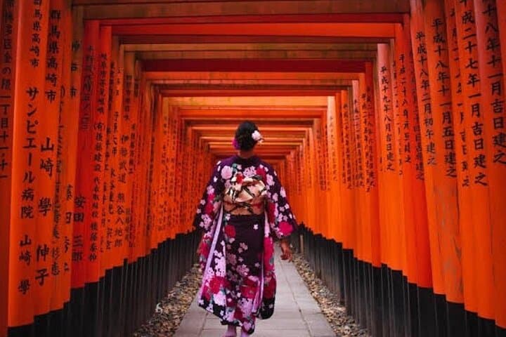 From Osaka/Kyoto : Private Kyoto & Nara Day Trip with Pickup — photo 1