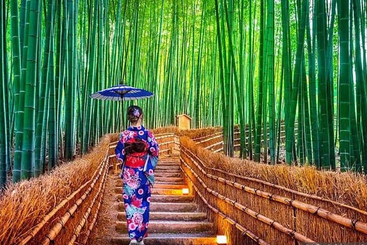 From Osaka/Kyoto : Private Kyoto & Nara Day Trip with Pickup — photo 2