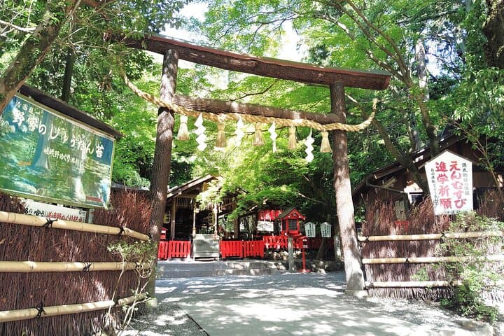 Kyoto: Serene Morning Walk in Arashiyama Bamboo Grove — photo 7