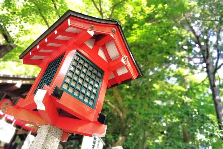 Kyoto: Serene Morning Walk in Arashiyama Bamboo Grove — photo 3