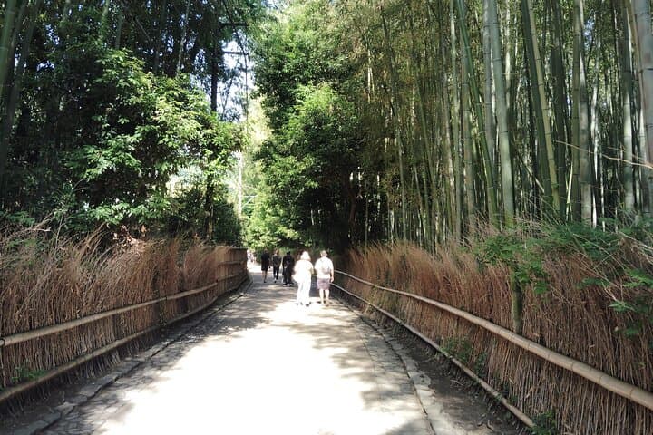 Kyoto: Serene Morning Walk in Arashiyama Bamboo Grove — photo 5