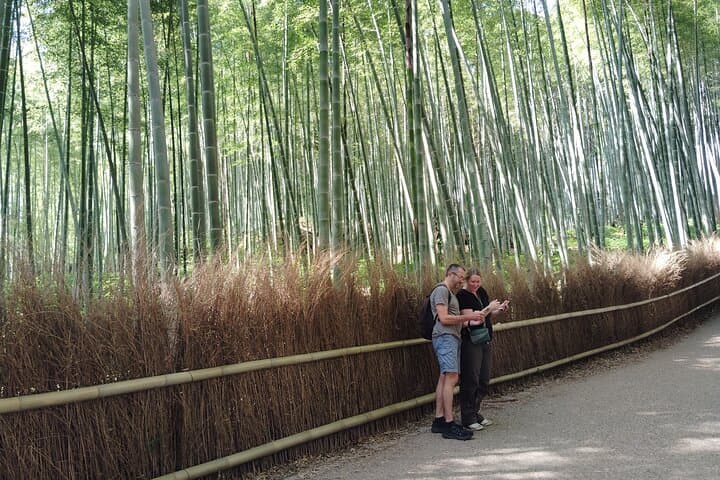 Kyoto: Serene Morning Walk in Arashiyama Bamboo Grove — photo 8