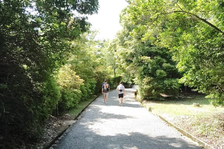 Kyoto: Serene Morning Walk in Arashiyama Bamboo Grove — photo 6
