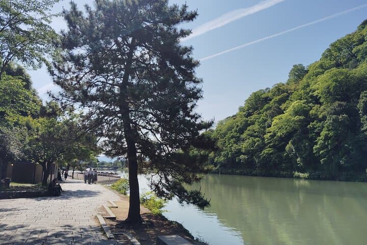 Kyoto: Serene Morning Walk in Arashiyama Bamboo Grove — photo 10