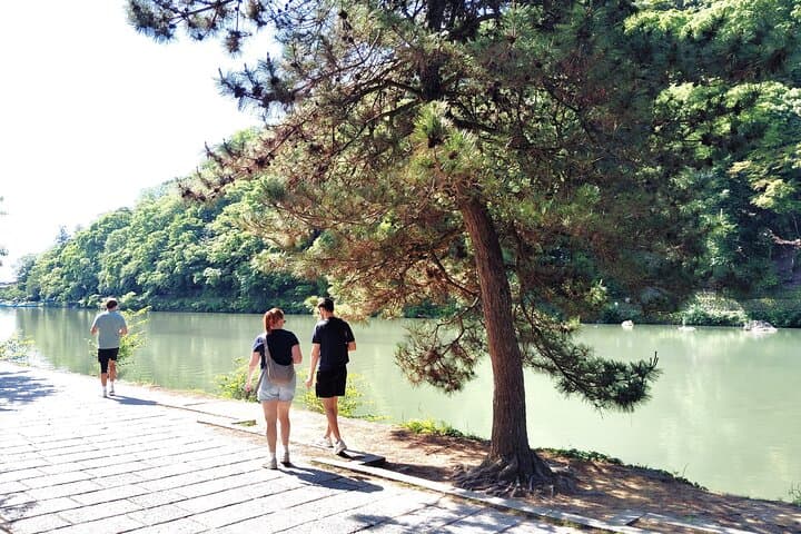 Kyoto: Serene Morning Walk in Arashiyama Bamboo Grove — photo 4