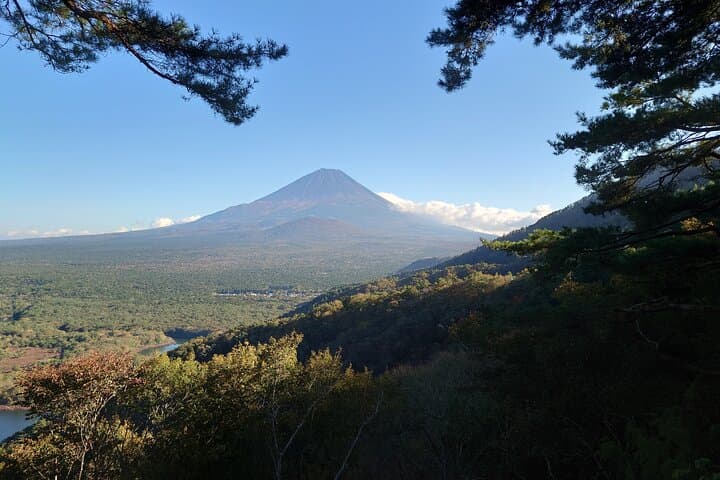 Fuji 5 Lakes Forest Bathing — photo 2
