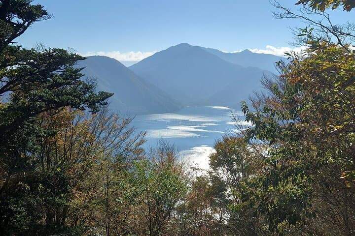 Fuji 5 Lakes Forest Bathing — photo 3
