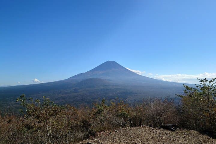 Fuji 5 Lakes Forest Bathing — photo 4