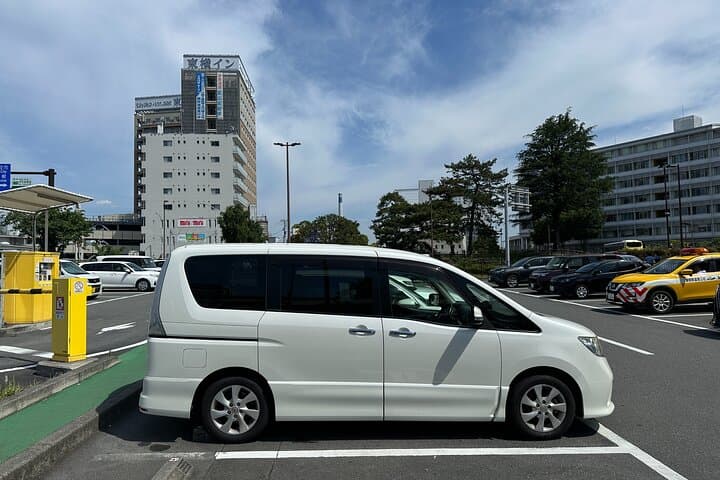 Fuji 5 Lakes Forest Bathing — photo 5
