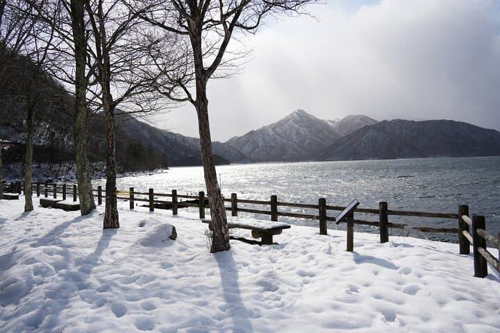 Nikko, Kegon Waterfall & Chuzenji Lake from Tokyo — photo 18