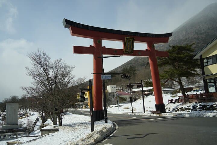 Nikko, Kegon Waterfall & Chuzenji Lake from Tokyo — photo 12
