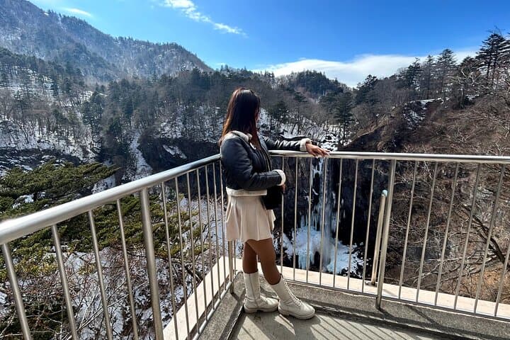 Nikko, Kegon Waterfall & Chuzenji Lake from Tokyo — photo 13