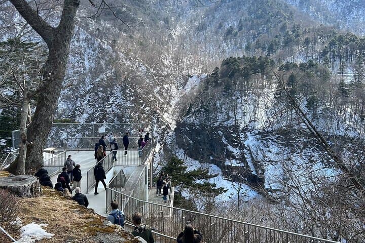 Nikko, Kegon Waterfall & Chuzenji Lake from Tokyo — photo 15