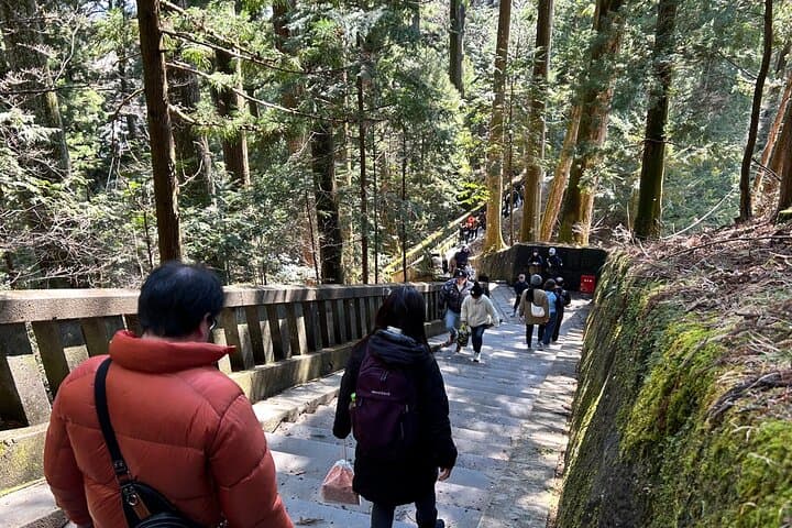 Nikko, Kegon Waterfall & Chuzenji Lake from Tokyo — photo 20