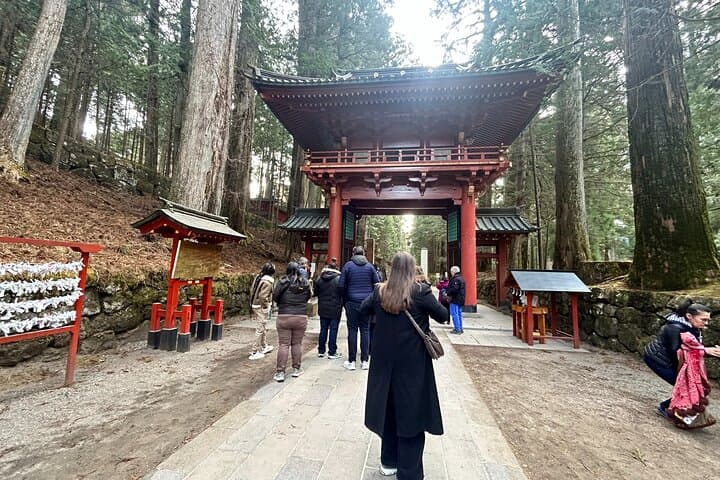 Nikko, Kegon Waterfall & Chuzenji Lake from Tokyo — photo 4