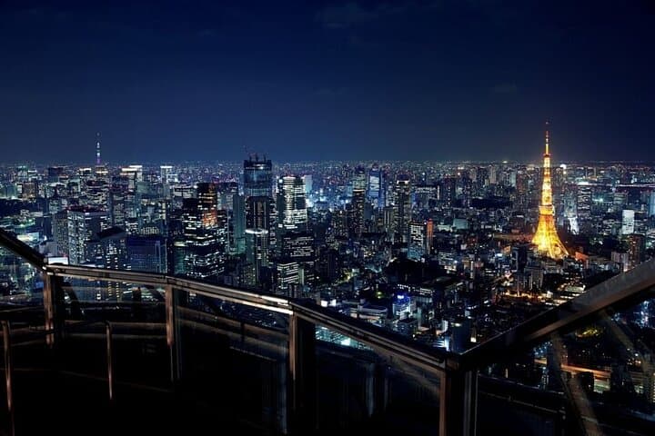 Roppongi Hills Tokyo City View Observatory Deck Ticket — photo 5