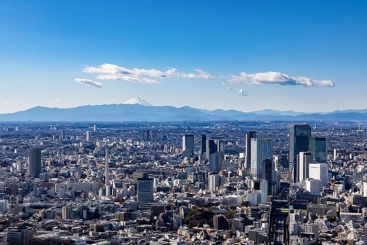 Roppongi Hills Tokyo City View Observatory Deck Ticket — photo 8