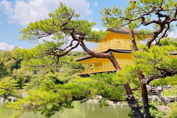 Kyoto Private & Customizable Tour with English-Speaking Driver — photo 3