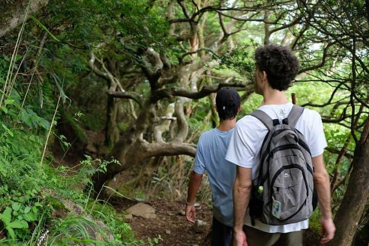 Private Hiking Tour with a certified national guide in Hakone — photo 5