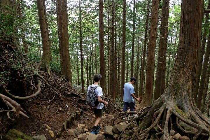 Private Hiking Tour with a certified national guide in Hakone — photo 6