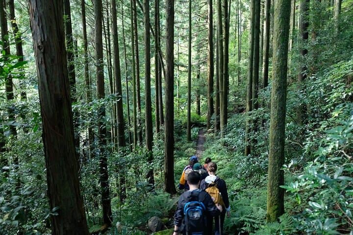 Private Hiking Tour with a certified national guide in Hakone — photo 7