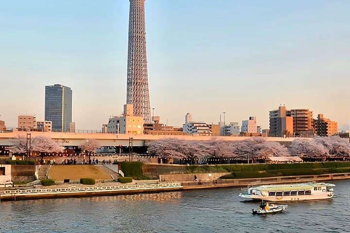 One day in Tokyo with Shrines, Asakusa and Hidden Local — photo 3