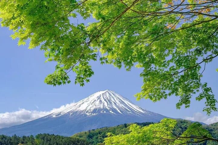 Private Mt Fuji Area Day Trip with English Speaking Driver — photo 1