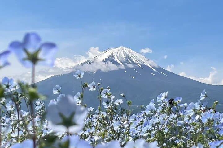 Private Mt Fuji Area Day Trip with English Speaking Driver — photo 2