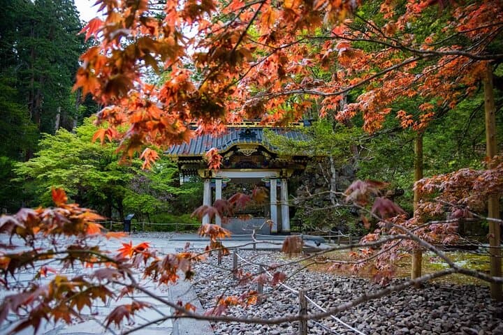 Vip | Nikko Signature Tour | Private Luxury from Tokyo — photo 6