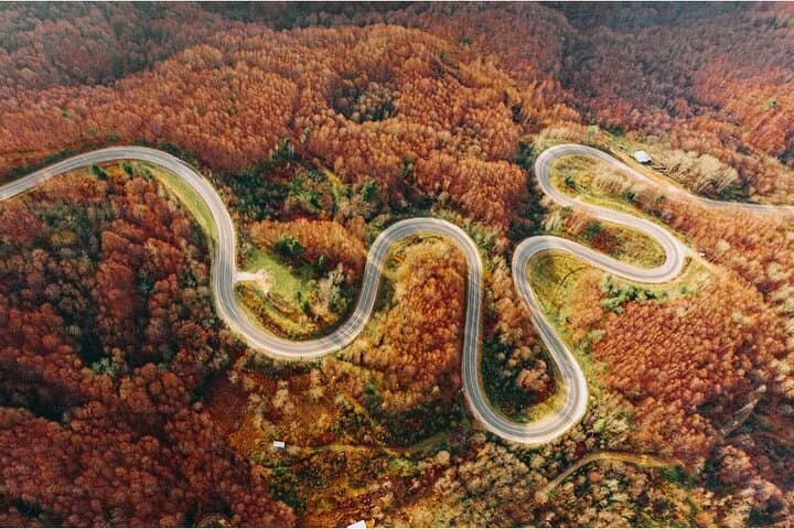 Vip | Nikko Signature Tour | Private Luxury from Tokyo — photo 7