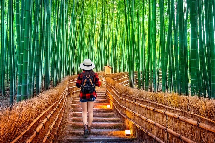 Kyoto and Nara Day Tour With English Guide — photo 4