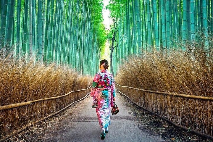 Kyoto and Nara Day Tour With English Guide — photo 6