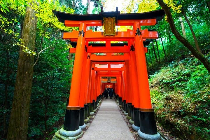Kyoto and Nara Day Tour With English Guide — photo 7