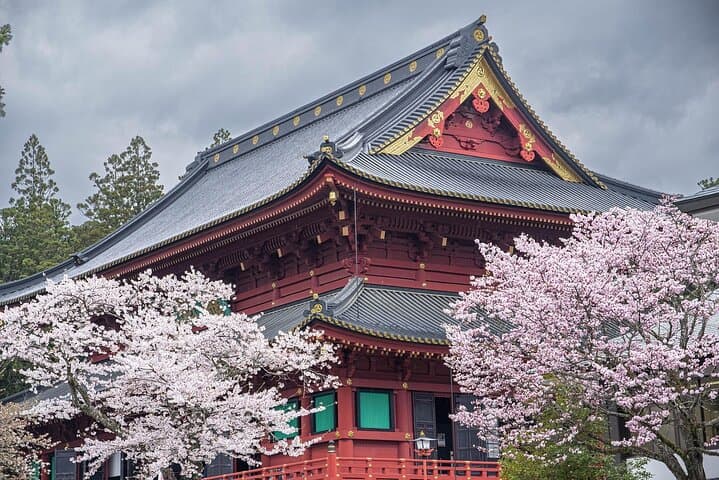 Vip | Nikko Signature Tour | Private Luxury from Tokyo — photo 8