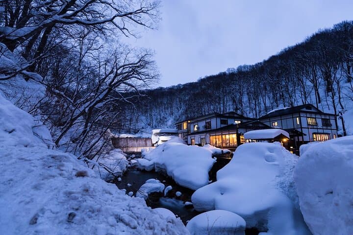 Private Luxury Day Tour to Nagano Snow Monkeys and Zenkoji Temple — photo 11