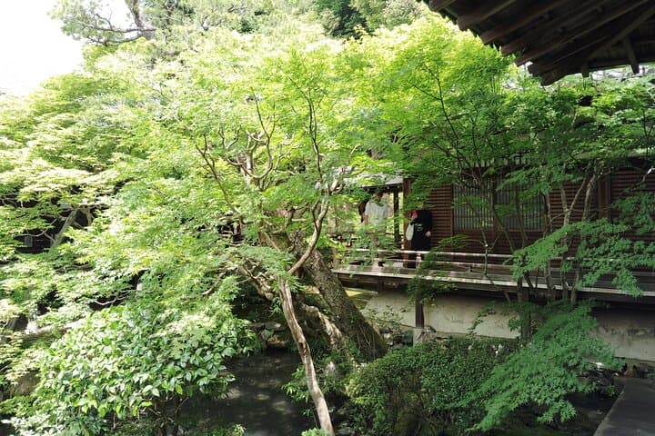 Kyoto: Serene Stroll Through Eikando’s Timeless Temple Paths — photo 13