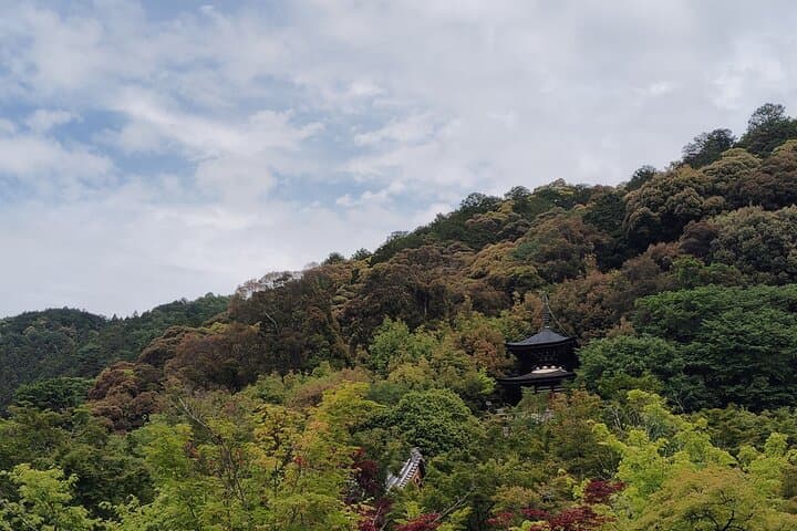 Kyoto: Serene Stroll Through Eikando’s Timeless Temple Paths — photo 17