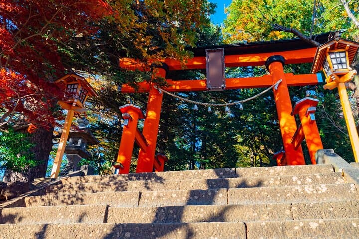 Mt. Fuji 5th Popular Spots & Sagamiko Illumination Tour fr Tokyo — photo 17