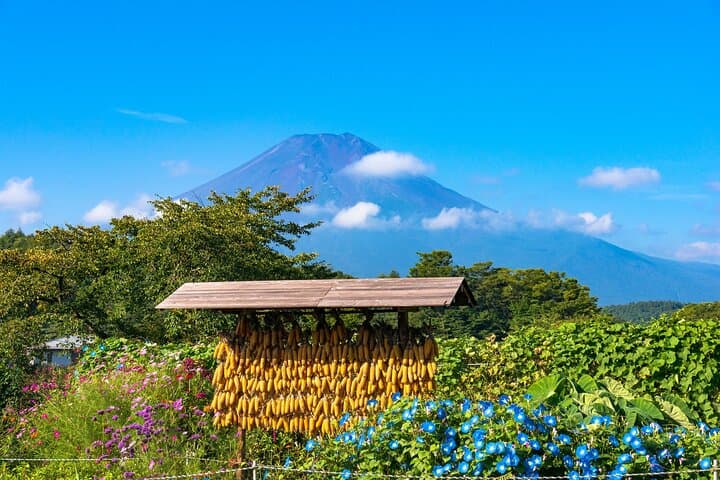 Mt. Fuji Signature 6 Scenic Spots One Day Tour from Tokyo — photo 6