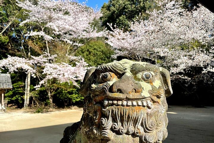From Fukuoka Kyushu Itoshima Hidden Gems Day Tour — photo 10