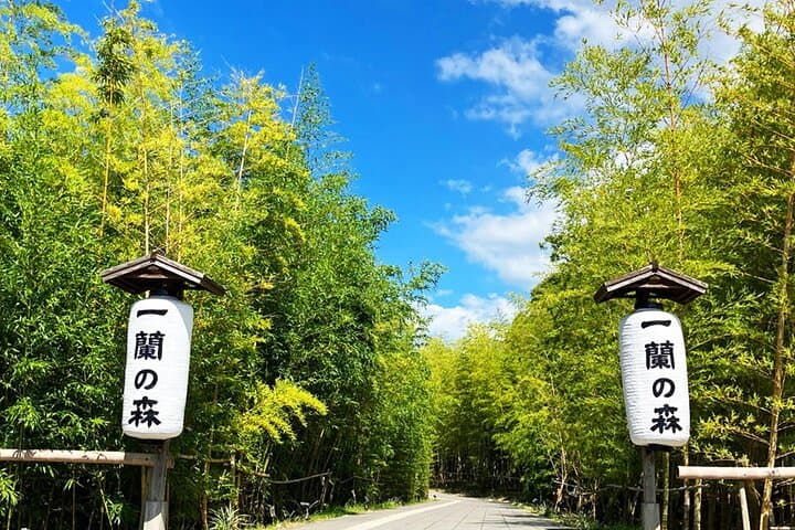 From Fukuoka Kyushu Itoshima Hidden Gems Day Tour — photo 11