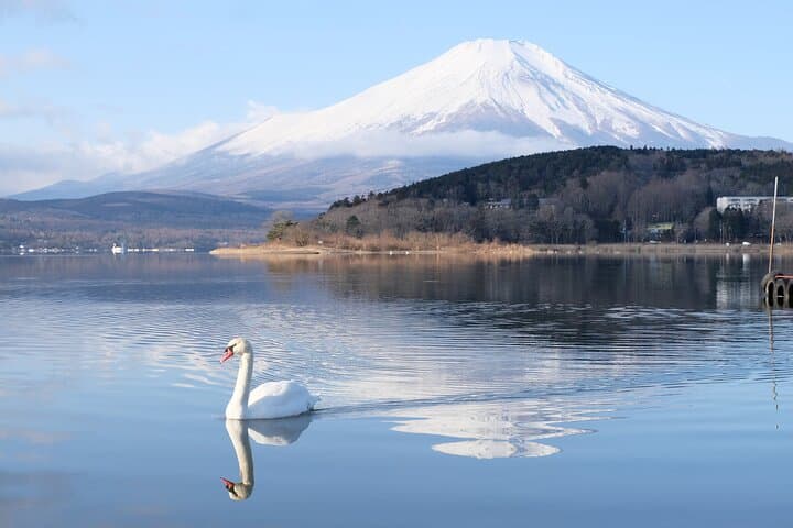 Mt. Fuji Signature 6 Scenic Spots One Day Tour from Tokyo — photo 10